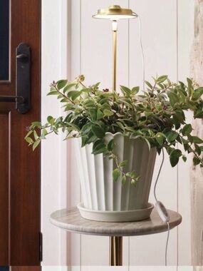 Hearth & Hand Indoor Grow Light w/ LED Bulbs NIB